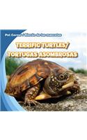 Terrific Turtles / Tortugas Asombrosas