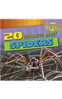 20 Fun Facts about Spiders