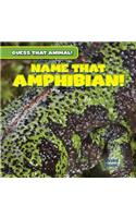 Name That Amphibian!