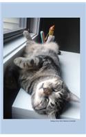 Sleepy Kitty 2014 Weekly Calendar