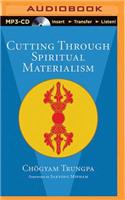 Cutting Through Spiritual Materialism