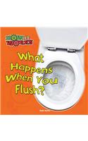 What Happens When You Flush?