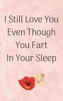 I Still Love You Even Though You Fart In Your Sleep
