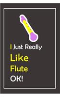 I Just Really Like Flute, OK !
