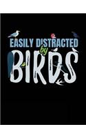 Easily Distracted By Birds