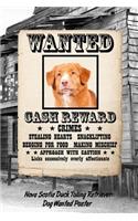 Nova Scotia Duck Tolling Retriever Dog Wanted Poster