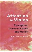 Attention in Vision