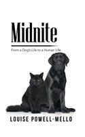 Midnite: From a Dog's Life to a Human Life