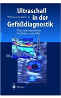 Ultraschall in Der Gef Diagnostik: Therapieorientierter Leitfaden Und Atlas