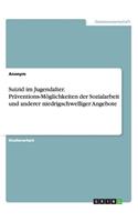 Suizid im Jugendalter. Präventions-Möglichkeiten der Sozialarbeit und anderer niedrigschwelliger Angebote