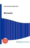 Macropsia