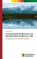 A comunidade do Barranco de São Benedito em Manaus - AM