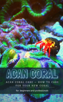 Acan Coral: Acan Coral Care - How T&#1054; Care for Your New Coral