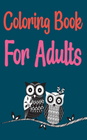 Coloring Book For Adults: Owls Coloring Book For Kids