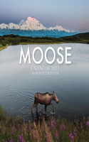 Moose Calendar 2021: 16 Month Calendar