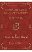 Promenades Dans Le Golfe Saint-Laurent: Une Partie de la Côte Nord, l'Ile Aux Oeufs, l'Anticosti, l'Ile Saint-Paul, l'Archipel de la Madeleine (Classic Reprint)