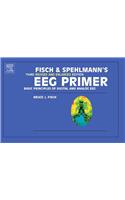 Fisch and Spehlmann's Eeg Primer: Basic Principles of Digital and Analog Eeg