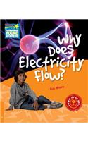 Why Does Electricity Flow? Level 6 Factbook: (Cambridge Young Readers)