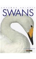 Swans