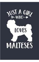 Just A Girl Who Loves Malteses Notebook - Gift for Maltese Lovers and Dog Owners - Maltese Journal: Medium College-Ruled Diary, 110 page, Lined, 6x9 (15.2 x 22.9 cm)