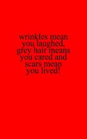 Wrinkles means you laughed, grey hair means you cared and scars mean you lived!