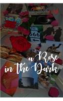 Rose in the Dark