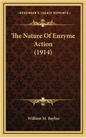 The Nature of Enzyme Action (1914)