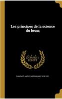 Les principes de la science du beau;