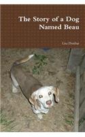 Story of a Dog Named Beau