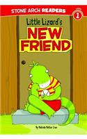 Little Lizard's New Friend