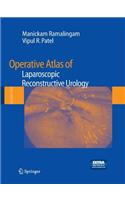 Operative Atlas of Laparoscopic Reconstructive Urology