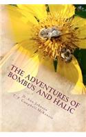 Adventures of Bombus and Halic