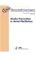 Stroke Prevention in Atrial Fibrillation: Comparative Effectiveness Review Number 123