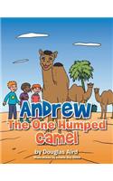 Andrew The One Humped Camel