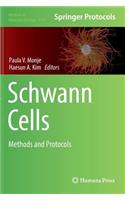 Schwann Cells