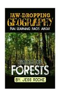 Jaw-Dropping Geography: Fun Learning Facts about Fabulous Forests: Illustrated Fun Learning for Kids
