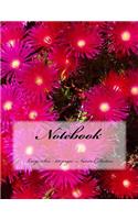 Notebook - Large Size - 100 pages - Nature Collection