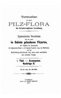 Vorstudien zu einer Pilz-Flora