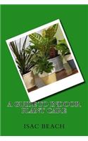 A Guide to Indoor Plant Care