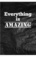 Everything is amazing