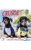 Crusoe the Celebrity Dachshund 2021 Wall Calendar (Dog Breed Calendar)