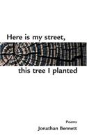 Here is my street, this tree I planted