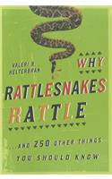 Why Rattlesnakes Rattle: ...and 250 Other Things You Should Know(English)