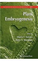 Plant Embryogenesis