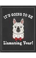 It's Going To Be Llamazing Year