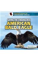 Saving the Endangered American Bald Eagle