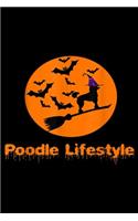Poodle lifestyle