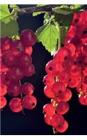 Red Currant Berries Journal: Take Notes, Write Down Memories in this 150 Page Lined Journal