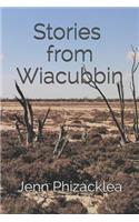 Stories from Wiacubbin