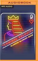 Terminal Velocity